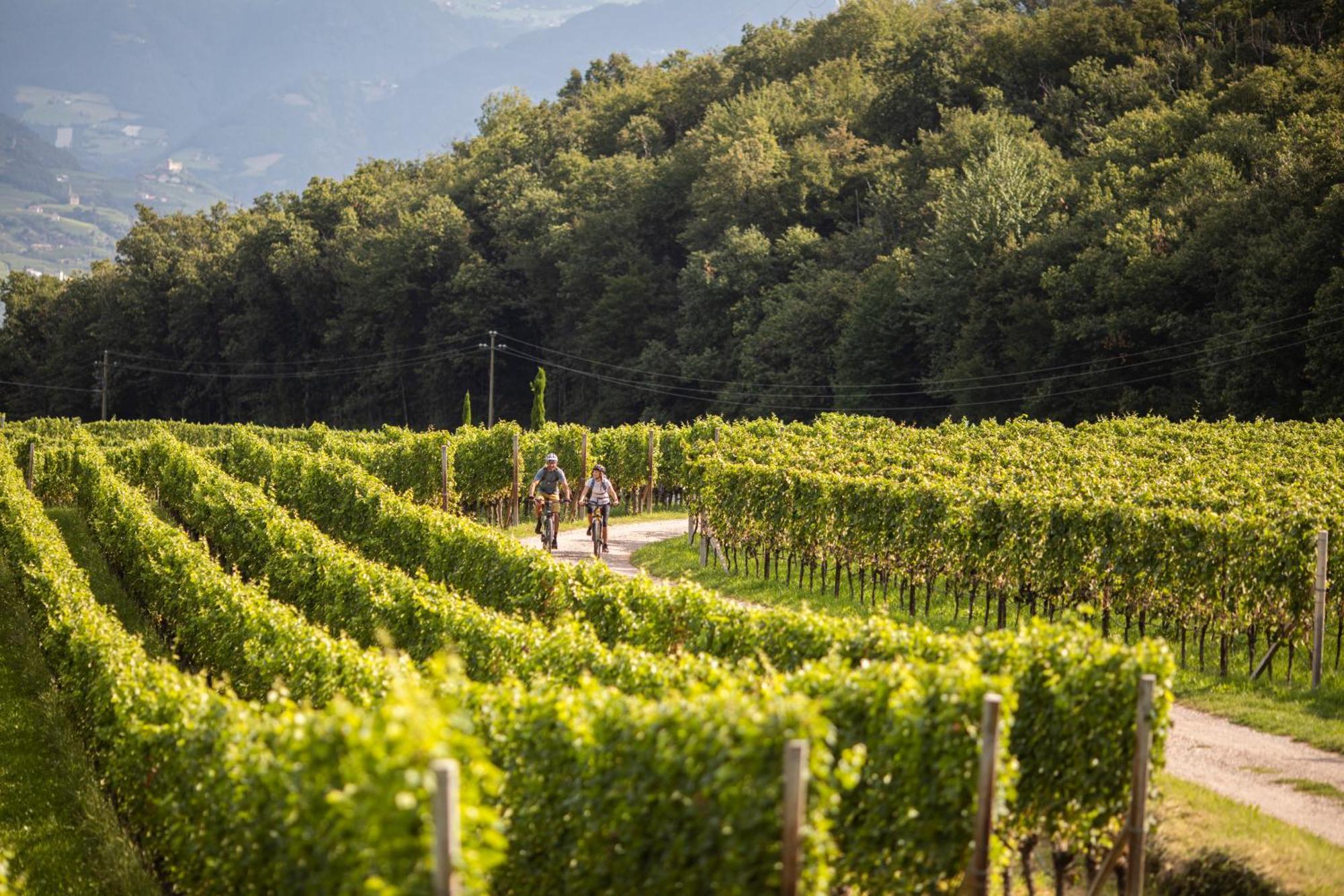 Belia Lofts - Adults Only - Apartments Appiano Sulla Strada Del Vino Exterior foto
