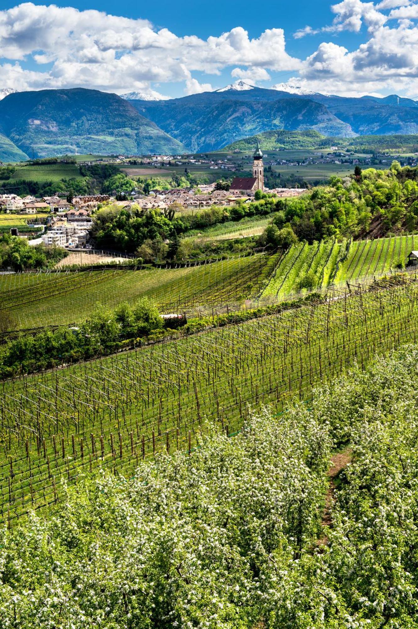 Belia Lofts - Adults Only - Apartments Appiano Sulla Strada Del Vino Exterior foto